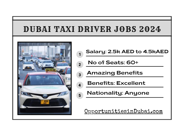 Driver Jobs In Dubai 2024