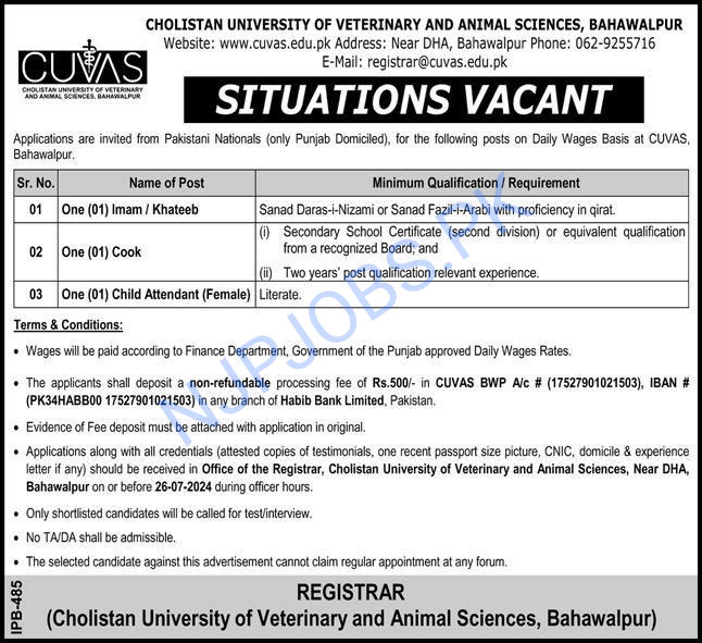 Cholistan University Jobs 2024