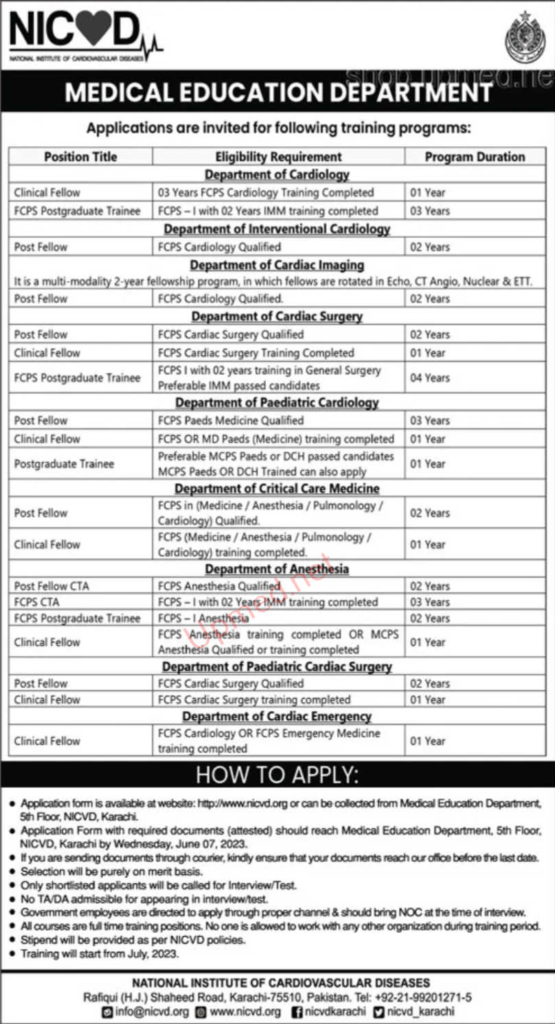 NICVD Jobs 2024