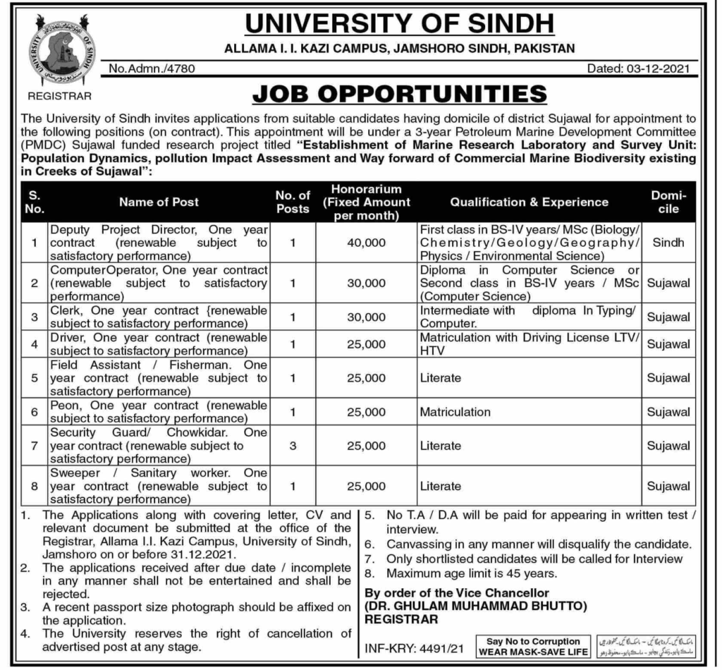 the University Of Sindh Jobs 2024