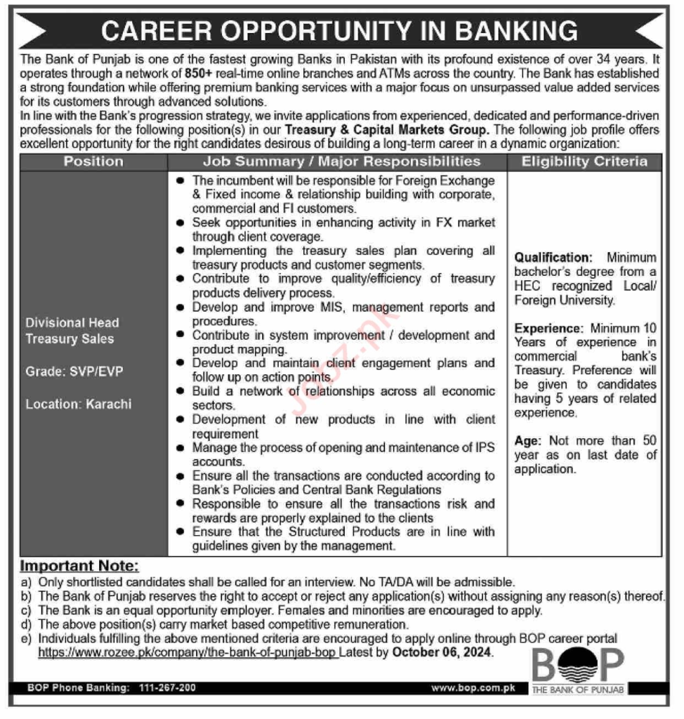 Punjab Bank Jobs 2024